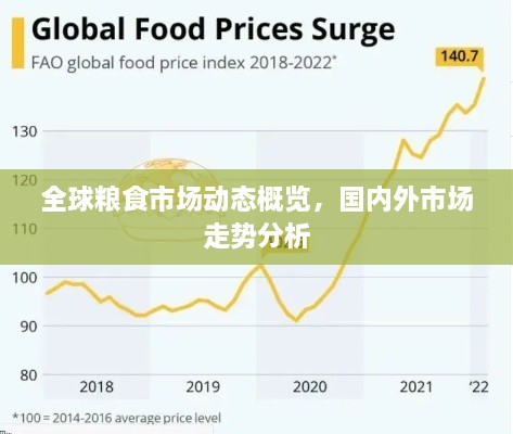 全球粮食市场动态概览，国内外市场走势分析