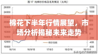 棉花下半年行情展望，市场分析揭秘未来走势