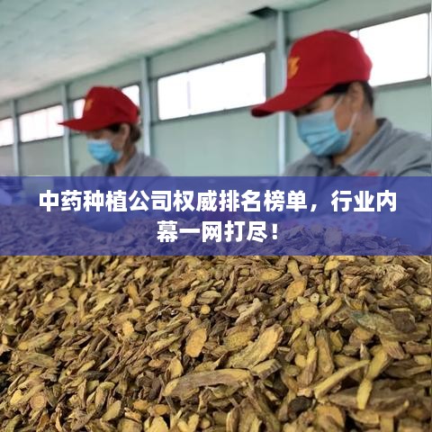 中药种植公司权威排名榜单，行业内幕一网打尽！