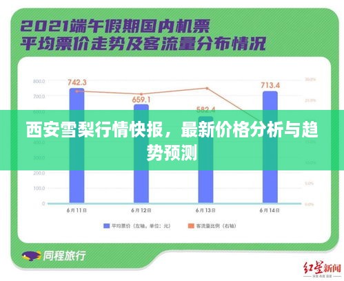 西安雪梨行情快报，最新价格分析与趋势预测