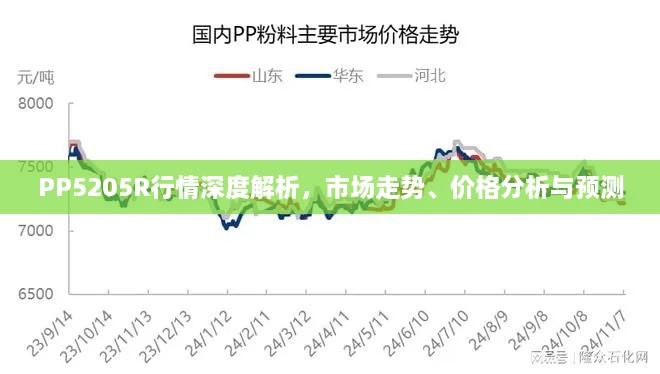 2025年2月13日 第5页