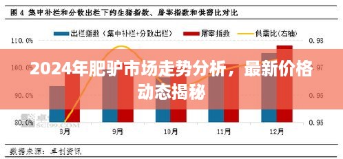 2024年肥驴市场走势分析，最新价格动态揭秘