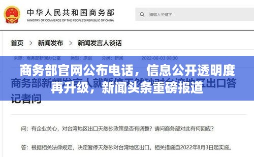 商务部官网公布电话，信息公开透明度再升级，新闻头条重磅报道