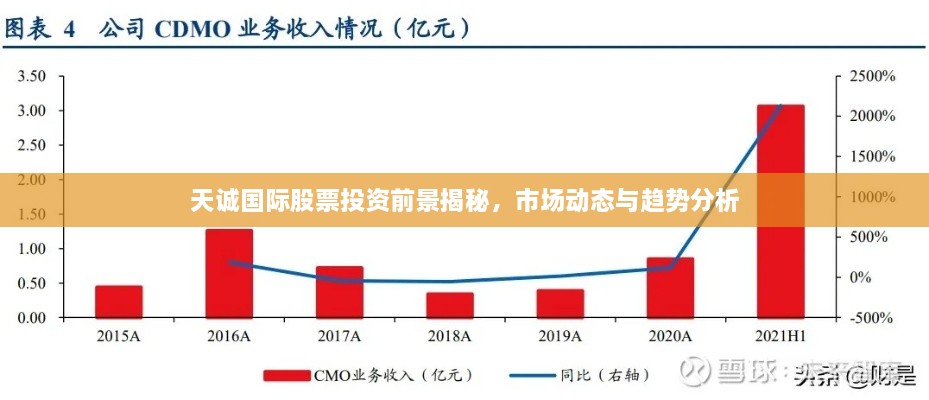 天诚国际股票投资前景揭秘，市场动态与趋势分析