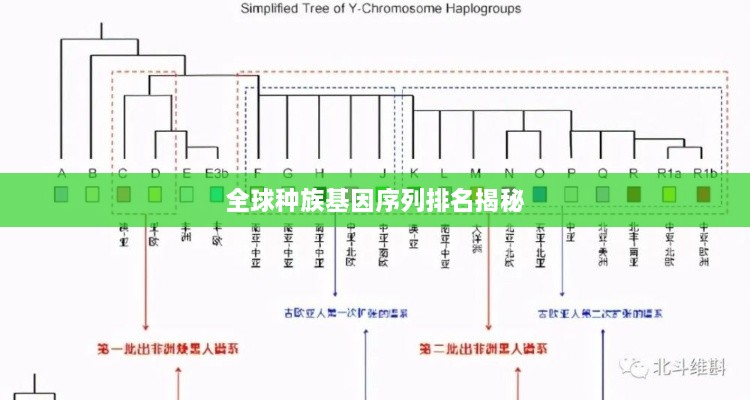 全球种族基因序列排名揭秘