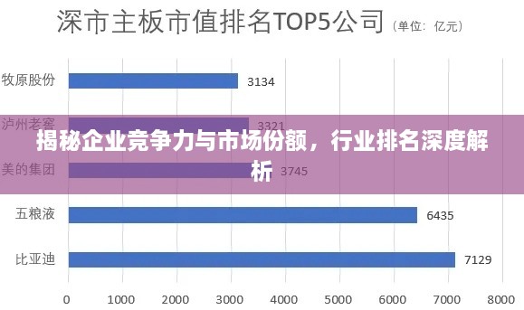 揭秘企业竞争力与市场份额，行业排名深度解析