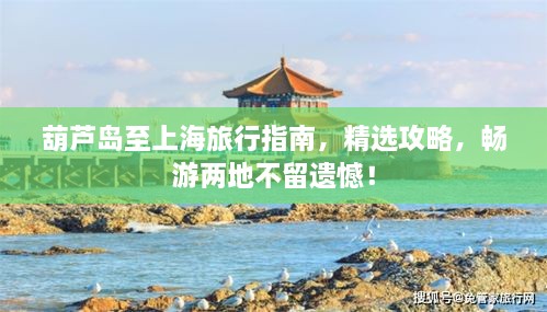 葫芦岛至上海旅行指南，精选攻略，畅游两地不留遗憾！