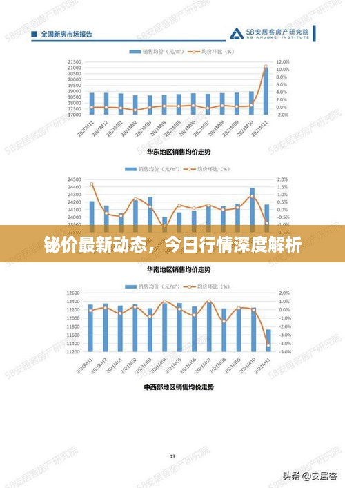 铋价最新动态，今日行情深度解析