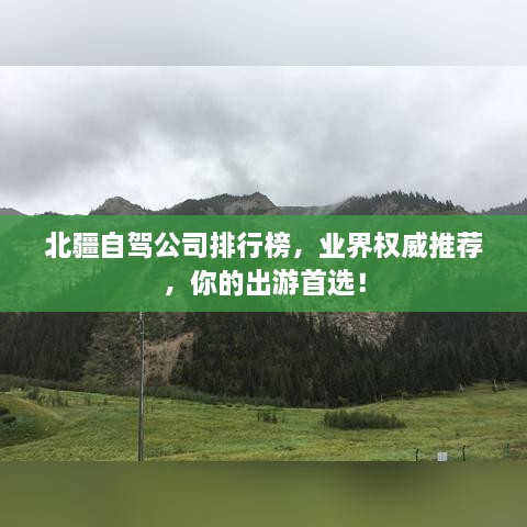 北疆自驾公司排行榜，业界权威推荐，你的出游首选！