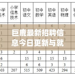 巨鹿最新招聘信息今日更新与就业市场分析解读