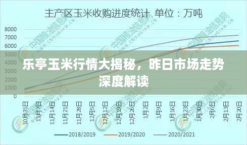 乐亭玉米行情大揭秘，昨日市场走势深度解读