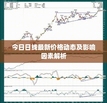 今日日线最新价格动态及影响因素解析