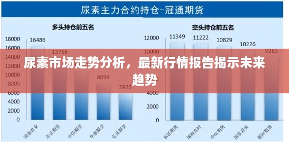 尿素市场走势分析，最新行情报告揭示未来趋势