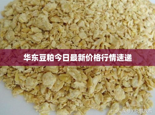 华东豆粕今日最新价格行情速递