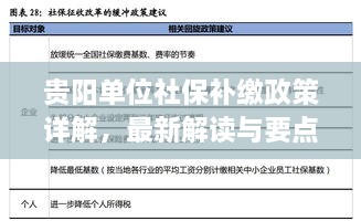 贵阳单位社保补缴政策详解，最新解读与要点梳理