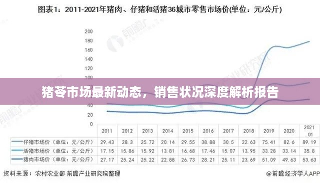 猪苓市场最新动态，销售状况深度解析报告