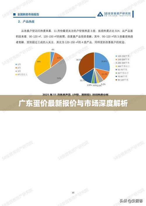 广东蛋价最新报价与市场深度解析