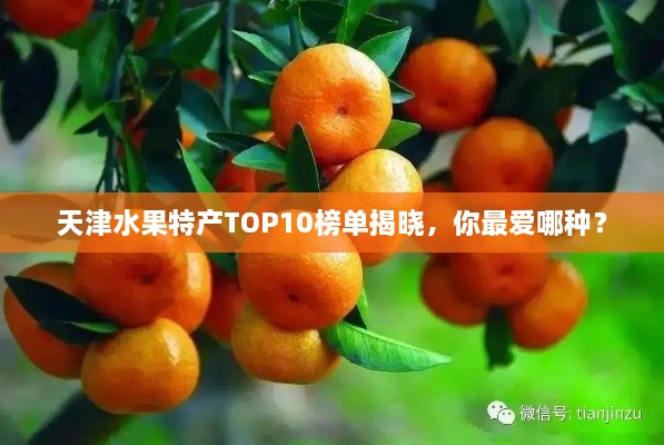 天津水果特产TOP10榜单揭晓，你最爱哪种？