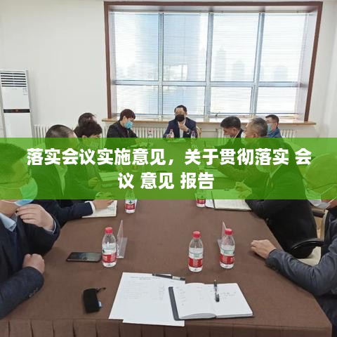 落实会议实施意见，关于贯彻落实 会议 意见 报告 