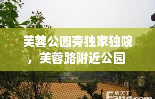 芙蓉公园旁独家独院，芙蓉路附近公园 