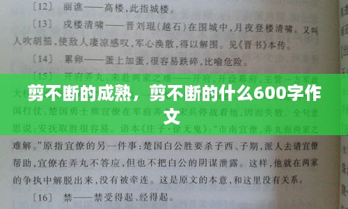 剪不断的成熟，剪不断的什么600字作文 