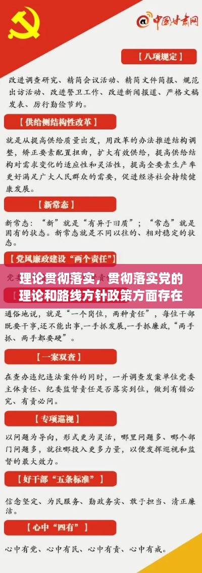 理论贯彻落实，贯彻落实党的理论和路线方针政策方面存在的问题 