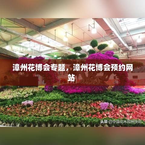 漳州花博会专题，漳州花博会预约网站 