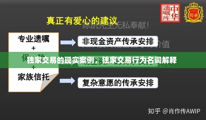 独家交易的现实案例，独家交易行为名词解释 