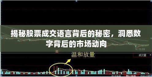 揭秘股票成交语言背后的秘密，洞悉数字背后的市场动向