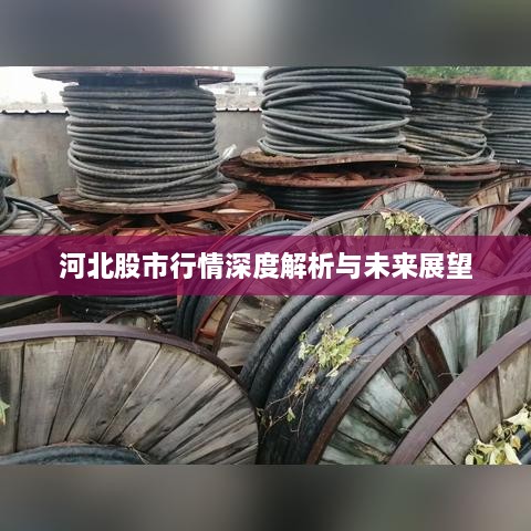 河北股市行情深度解析与未来展望