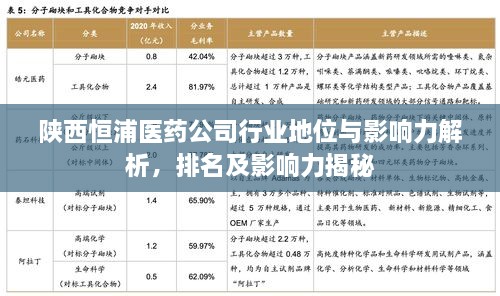 陕西恒浦医药公司行业地位与影响力解析，排名及影响力揭秘