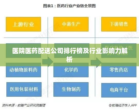 医院医药配送公司排行榜及行业影响力解析