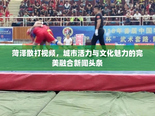 菏泽散打视频，城市活力与文化魅力的完美融合新闻头条