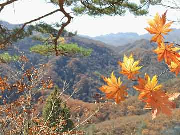 叶县日常，温馨时光（11月14日最新）