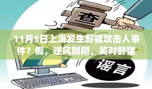 上海野猪攻击人事件谣言揭秘，自信成就之光，逆风翱翔笑对谣言的挑战