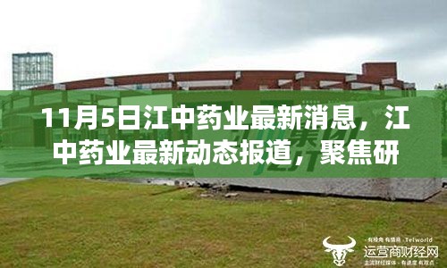 江中药业最新研发与市场拓展动态报道（11月5日更新）