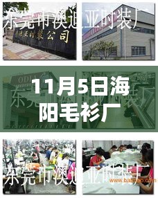 11月5日海阳毛衫厂最新招聘深度解析与职位介绍