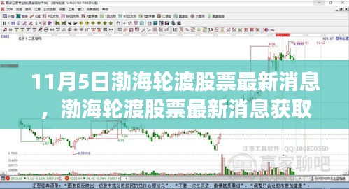 渤海轮渡股票最新消息获取指南，初学者与进阶用户适用（11月5日更新）