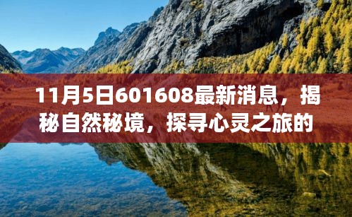 揭秘自然秘境，探寻心灵之旅的奇妙之旅——最新消息来自601608（日期，11月5日）