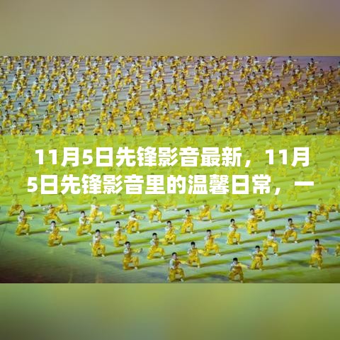 11月5日先锋影音里的温馨日常，电影之夜的奇妙际遇