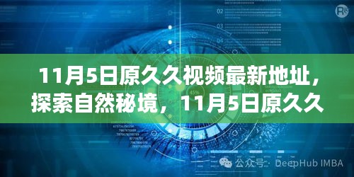 11月5日原久久视频最新地址，探索自然秘境，11月5日原久久视频的全新旅行指南，启程寻找内心的宁静乐园