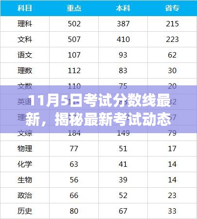 揭秘最新考试动态，深度解读11月5日考试分数线最新动态及分数要求