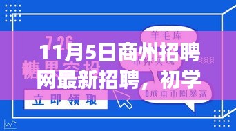 11月5日商州招聘网最新招聘求职指南，初学者与进阶用户适用