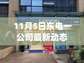 11月5日东电一公司最新动态解析及观点阐述