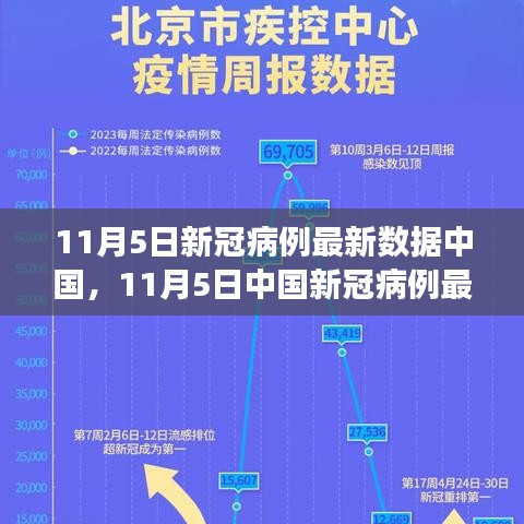 中国新冠病例最新数据分析报告，深度解读与趋势预测（截至11月5日）