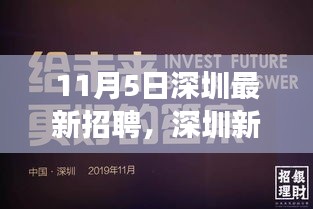 11月5日深圳最新招聘，职场奇遇与友情的温暖篇章