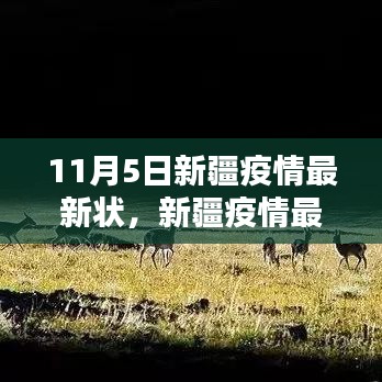 新疆疫情最新动态解析，11月5日深度报告