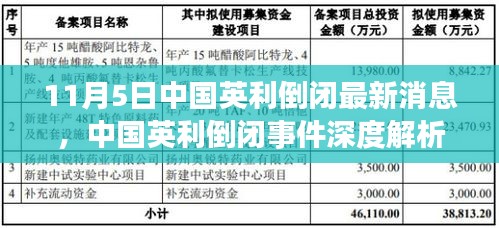 中国英利倒闭事件深度解析，产品特性、用户体验与群体洞察，最新消息汇总