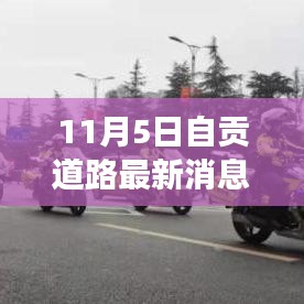 自贡道路最新动态，建设进展与未来规划（11月5日更新）