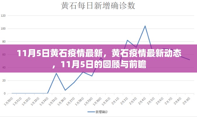 黄石疫情最新动态，11月5日回顾与前瞻